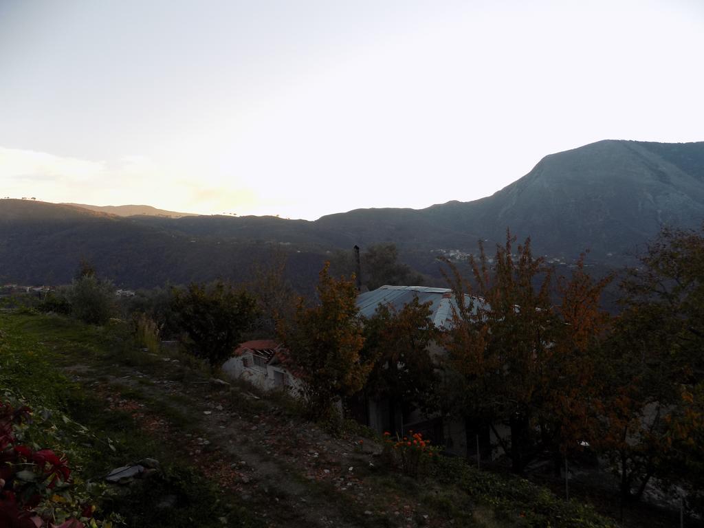 Alagonia Country Homes Екстериор снимка