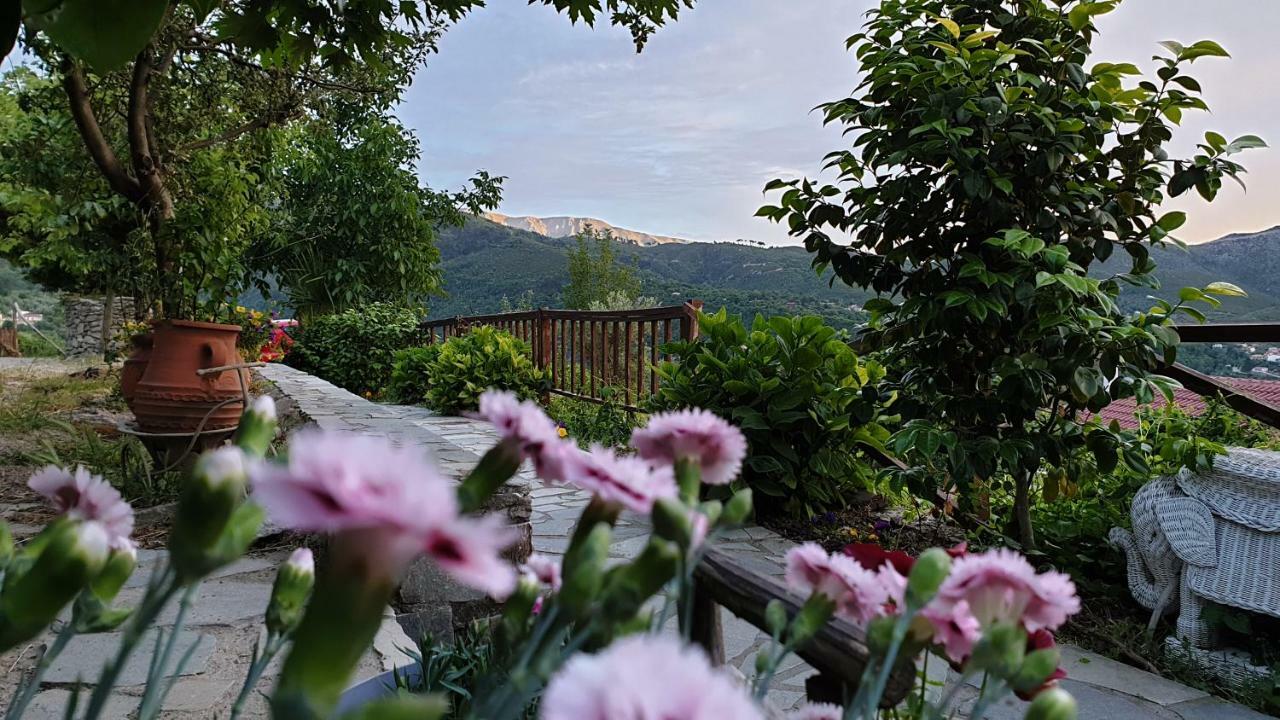Alagonia Country Homes Екстериор снимка
