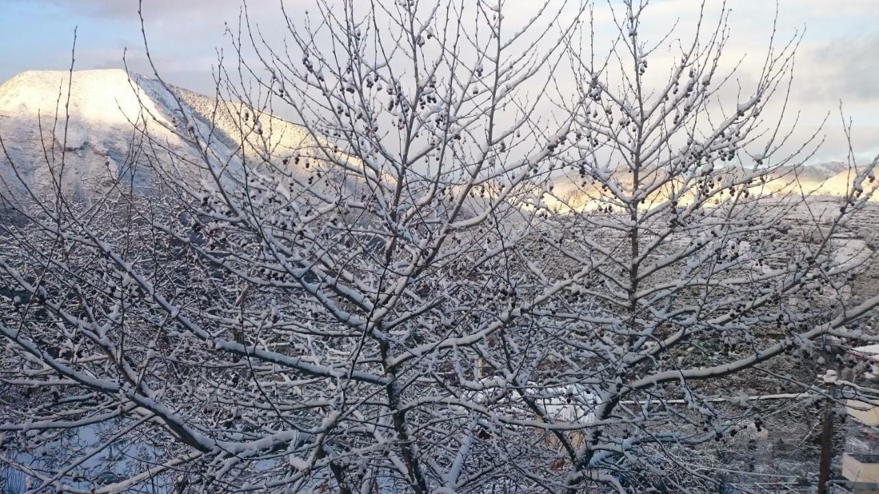 Alagonia Country Homes Екстериор снимка