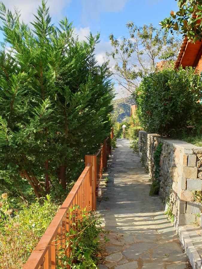 Alagonia Country Homes Екстериор снимка